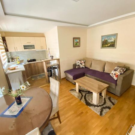 Apartman Bozur ズラティボール エクステリア 写真