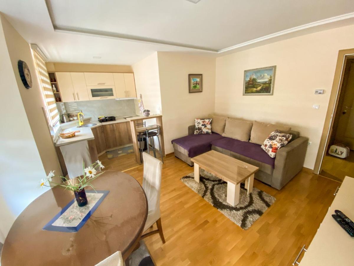 Apartman Bozur ズラティボール エクステリア 写真