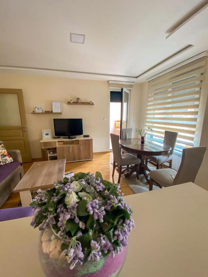 Apartman Bozur ズラティボール エクステリア 写真