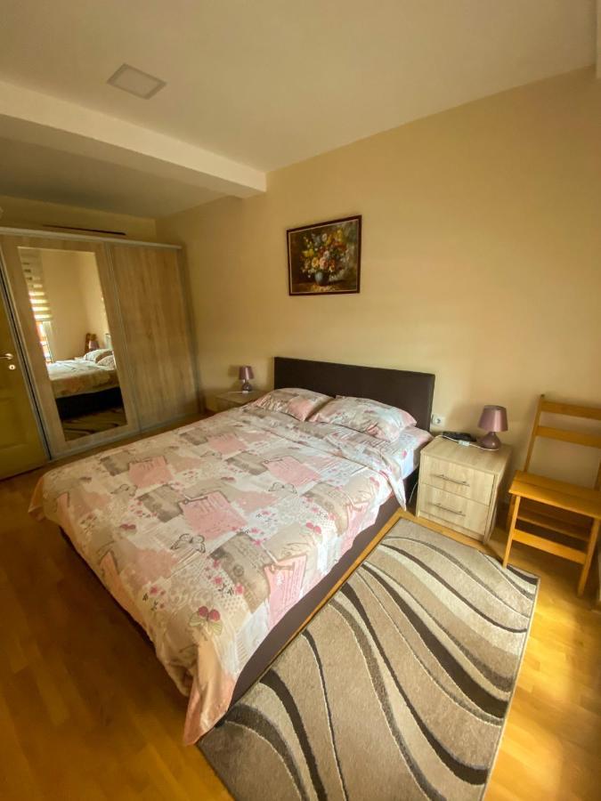 Apartman Bozur ズラティボール エクステリア 写真