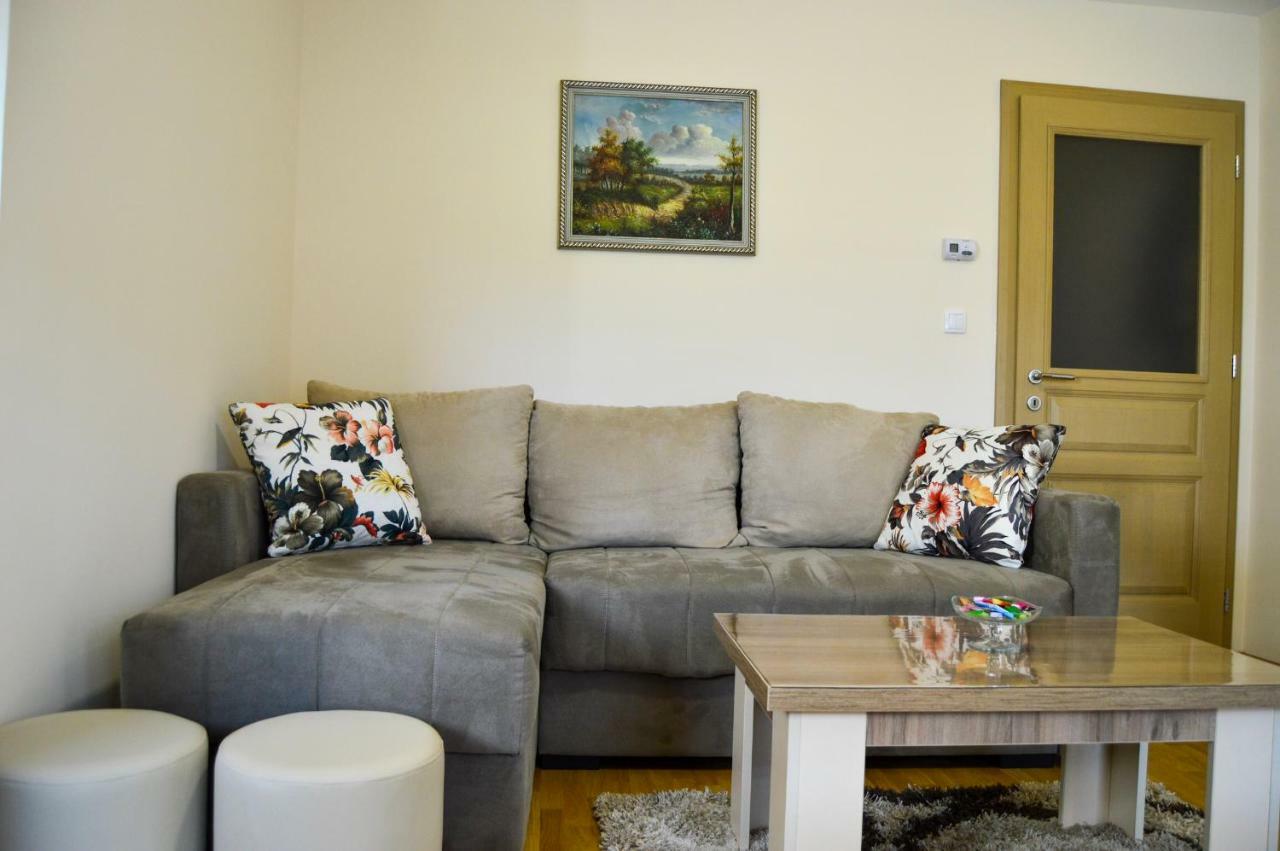 Apartman Bozur ズラティボール エクステリア 写真