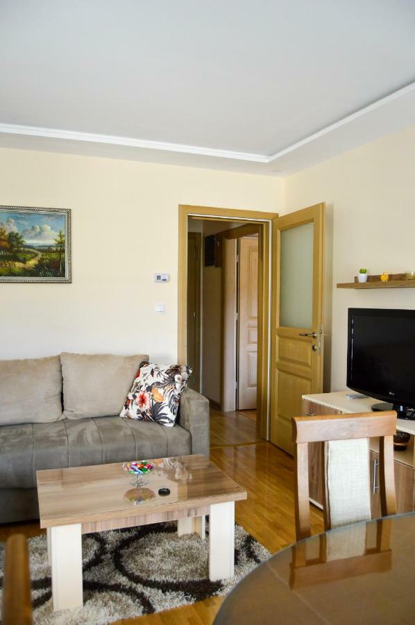 Apartman Bozur ズラティボール エクステリア 写真