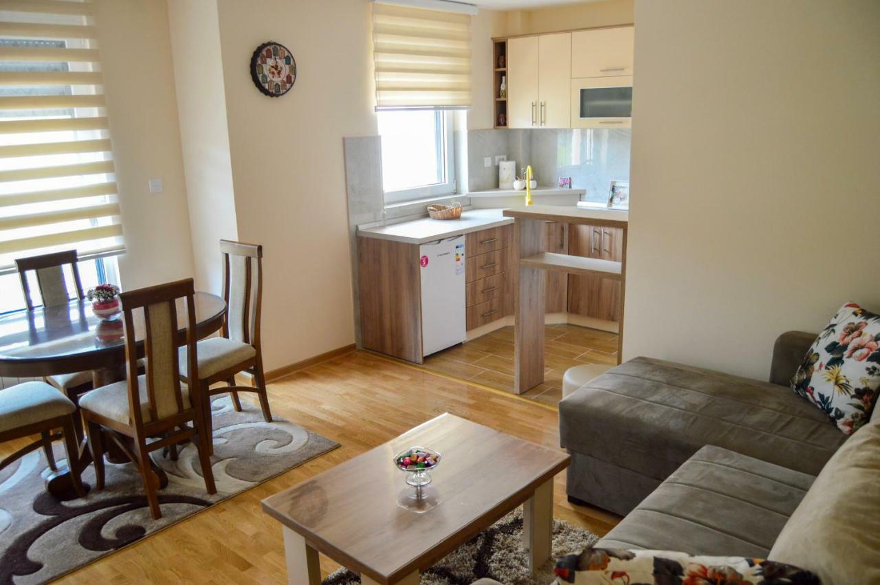 Apartman Bozur ズラティボール エクステリア 写真