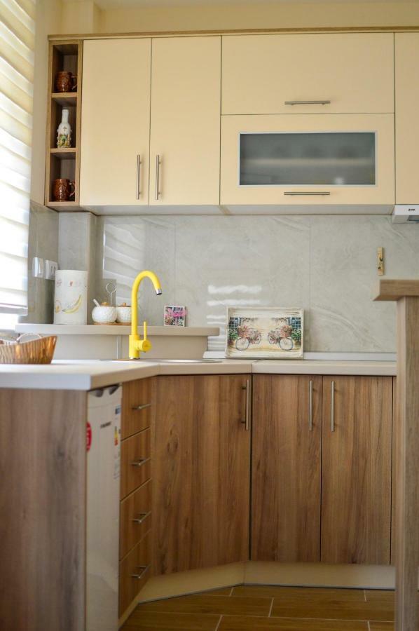 Apartman Bozur ズラティボール エクステリア 写真