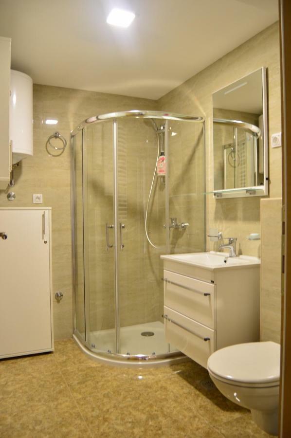 Apartman Bozur ズラティボール エクステリア 写真